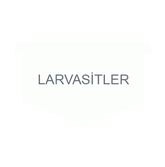 LARVASİT